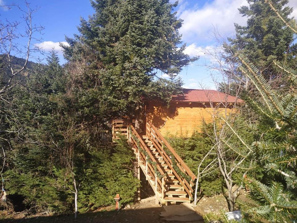 Kedra Village Buitenkant foto